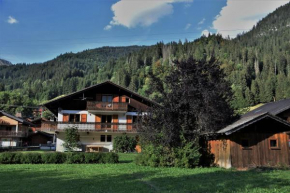 Chalet la Dransette